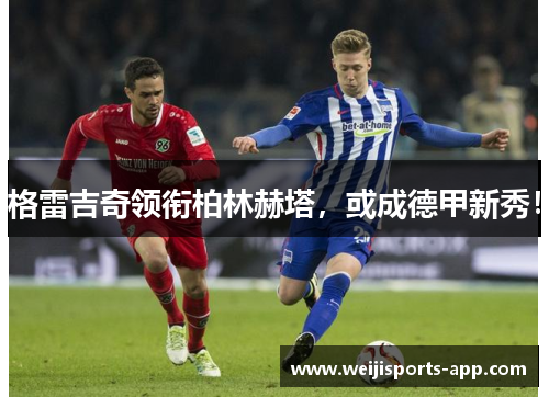 格雷吉奇领衔柏林赫塔，或成德甲新秀！