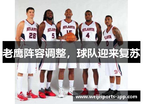 老鹰阵容调整，球队迎来复苏